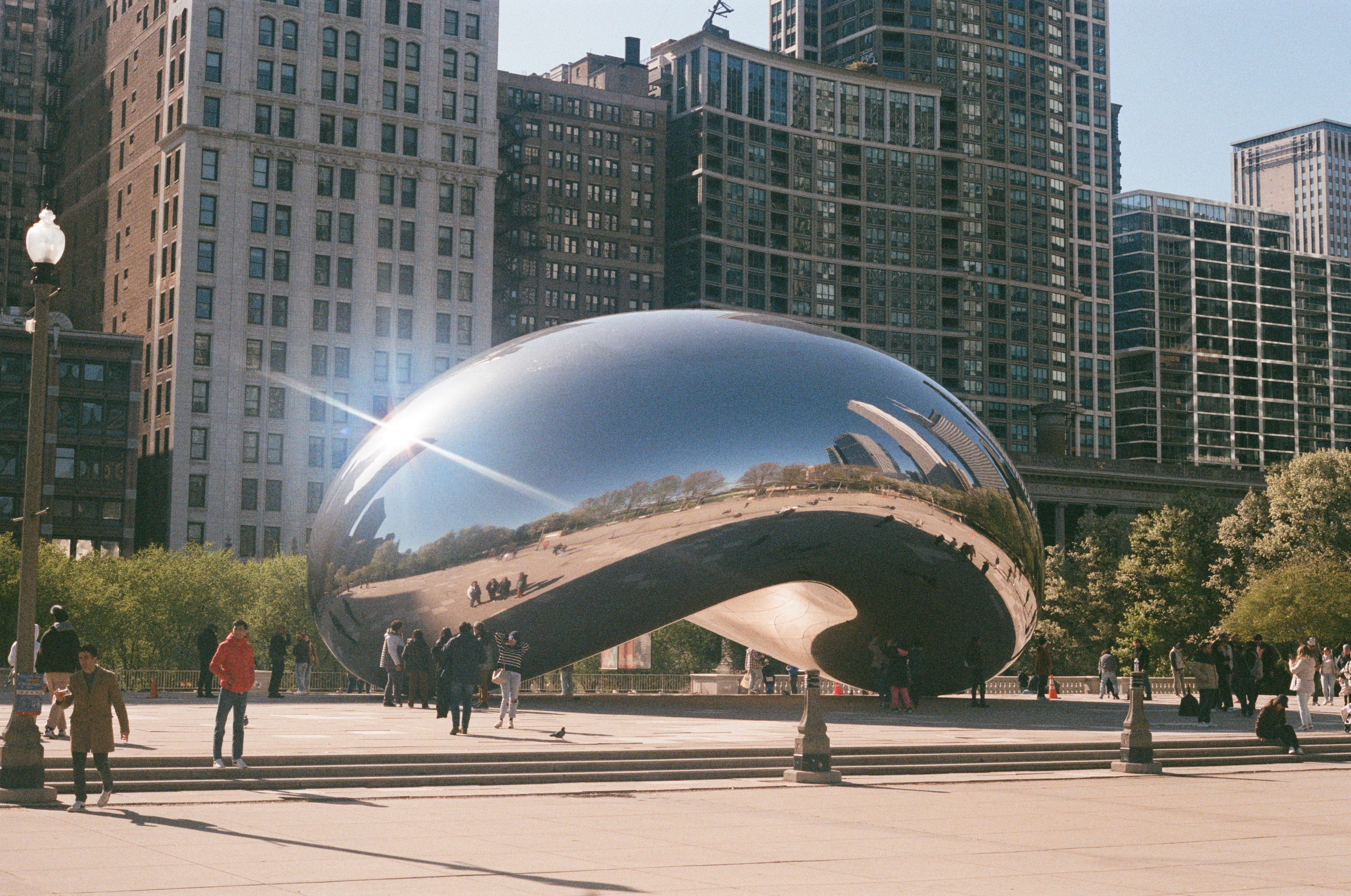 The Bean